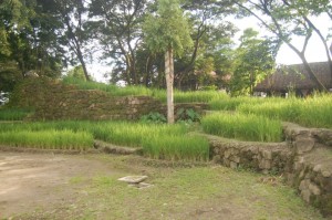 Ifugao Rice Terraces, banawe rice terraces, nayon pilipino